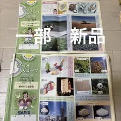 2025年最新】デイリーサピックス 4年 社会の人気アイテム - メルカリ