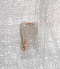 StrayKids スキズ SKZOO グミ&チャーム ジニレット ヒョンジン②