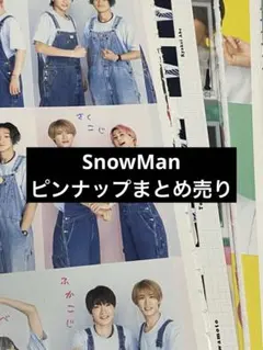 SnowMan 切り抜き ピンナップ まとめ売り
