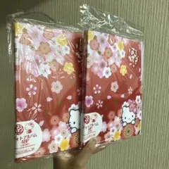 新品未使用 ハローキティ フォトアルバム 花日和 平成レトロ セット