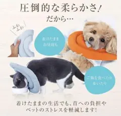 Item thumbnail for item 4903bfe2-863f-496a-8950-810733d4e323