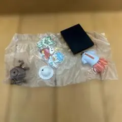【新品未使用品】ポケモンミニチュアトルソー ⑤オレンジアカデミー