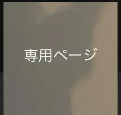 専用ページ　はしうめ（断捨離中　お値下げ交渉○）様