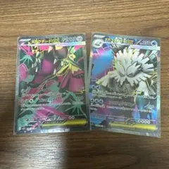 メガユキノオーex SR メガクチートex SR