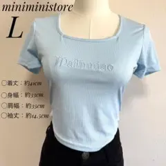 【美品】リブ Tシャツ L ライトブルー 胸元刺繍 スクエアネック 韓国風 半袖のサムネイル