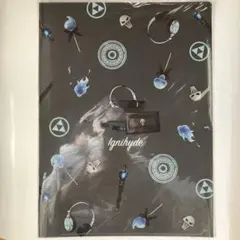 新品未開封 ツイステ Wポケット クリアファイル イグニハイド寮 公式グッズＢ