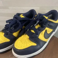 Nike Dunk Low MICHIGAN (PS) 19cmのサムネイル