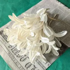 ユリの花殻 ドライフラワー No.252