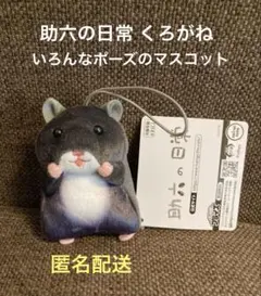 2026年最新】助六の日常 ぬいぐるみの人気アイテム - メルカリ