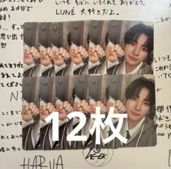 &TEAM Back to Life YUMA 12枚