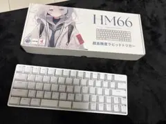hm66 ホワイト