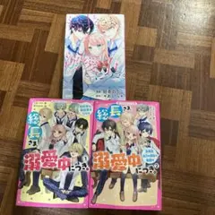 総長さま、溺愛中につき。 小説1 、2巻　コミック1冊