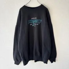 公式 NFL カロライナパンサーズ　アメフト　ロゴ刺繍　ストリート　2XL