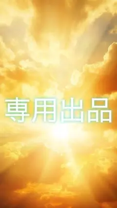 専用出品
