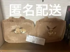 ポケモン　プラチナムザッカもこもこトランク イーブイ　2種