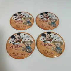 ハワイ　アウラニディズニー　缶バッチ