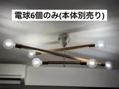 【電球のみ】アストルバウム クリアボール電球 E26 6個セット