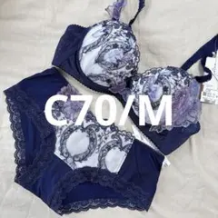 ☆ワコール パルファージュ C70・M☆45G