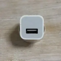 Apple純正　USB-Aコネクタ