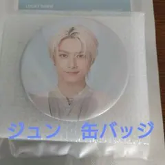 seventeen new_ ジュン　バッジ