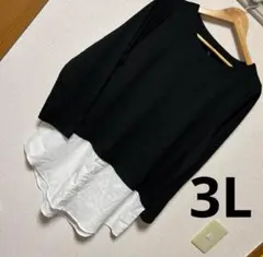 異素材 Tシャツ