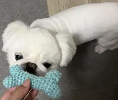 Item thumbnail for item 0076800d-9632-49f9-b439-282e4d2f61d4