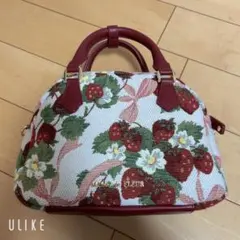 メゾンドフルール いちごゴブラン バック