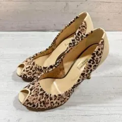 Item thumbnail for item d5744389-aa4d-423f-bf4c-fe268ccf348c