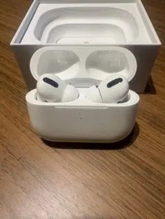 Apple AirPods Pro 初代 本体