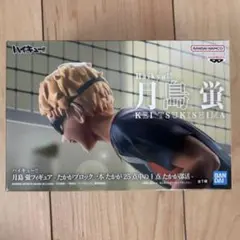 月島蛍　フィギュア　ハイキュー