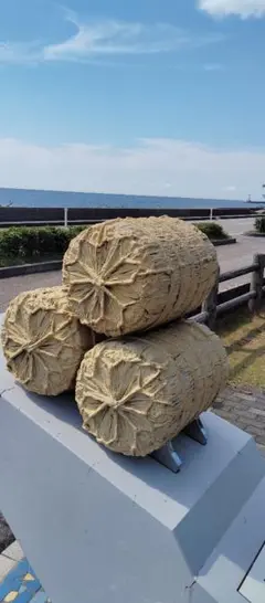 専用