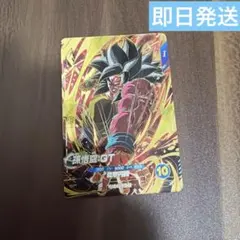 SDV10-016 孫悟空GT GDR
