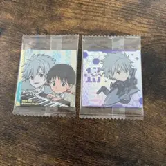 エヴァンゲリオン ウエハース シール カヲル＆シンジ 渚カヲル