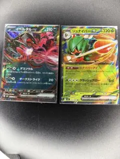 ポケモンカード RR 2点