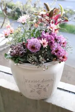 【ぱるる様】★期間限定 リピ割 500円オフ★　寄せ植え　花NO.1215