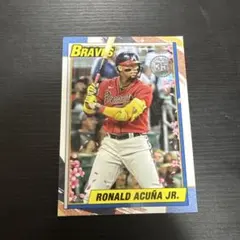 2026年最新】アクーニャJr toppsの人気アイテム - メルカリ