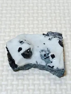 Item thumbnail for item 61d12a5f-33d3-4b46-ba3f-ff2cd000a06e