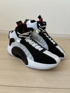 Air Jordan XXXV 【DNA】　ホワイト/ブラック　ジョーダン35
