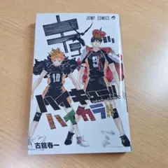 ハイキュー!! 公式カラーイラスト集 ハイカラ!!