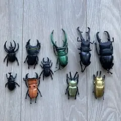 Item thumbnail for item 988bf666-de96-4b69-8710-2651e1c58b59