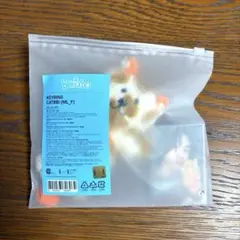 BOYNEXTDOOR プネクド キーリング ソンホ ケッピ CATBBI