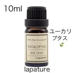 ☘️ユーカリプタス10ml 精油 Lapature 100%pureのサムネイル