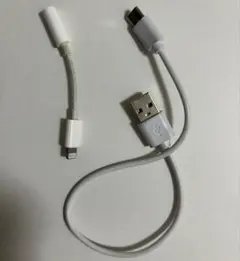 USB to Micro USB & Lightning Adapter