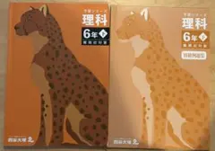 四谷大塚 予習シリーズ 理科 6年 下 有名校対策(教科書) 2冊セット