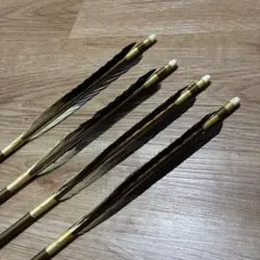 隼 ハヤブサの羽根 (羽根ほうき作りの素材）・貴重! - メルカリ