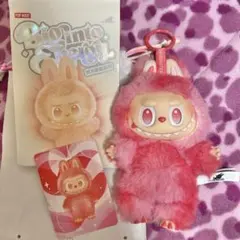 未使用 LUBUBU ラブブ Big into Energy エナジー LOVE