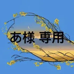 あ様 専用