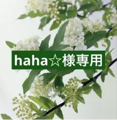 専用