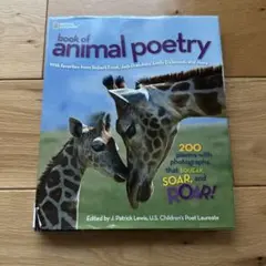 Item thumbnail for item 08fb96b0-b40c-4e2e-856d-91f9d832a68c