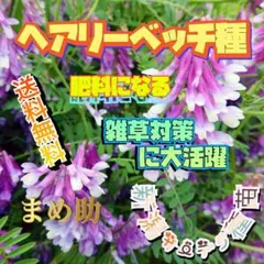 ゆう様 リクエスト 3点 まとめ商品